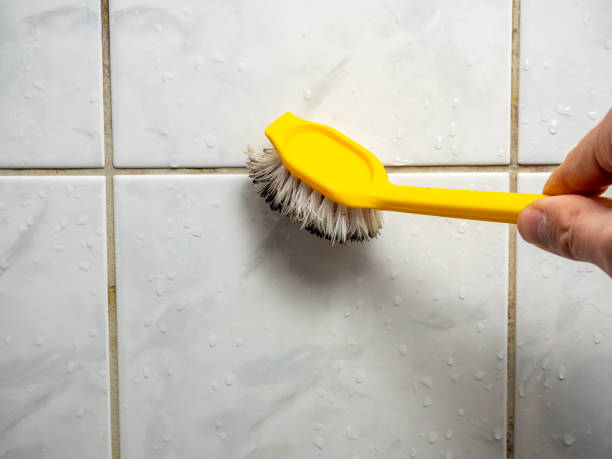 Best DIY Mold Remediation Support Services in Nazareth College, NY
